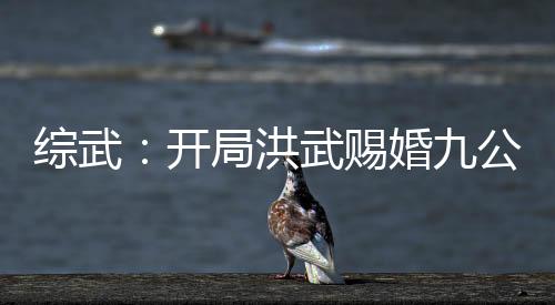 綜武：開(kāi)局洪武賜婚九公主