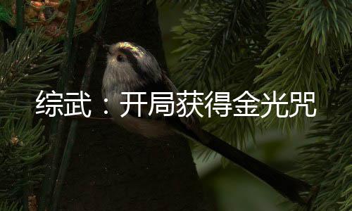 綜武：開(kāi)局獲得金光咒