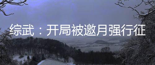 綜武：開局被邀月強行征服