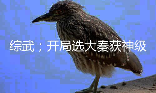 綜武；開(kāi)局選大秦獲神級(jí)系統(tǒng)