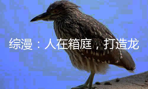 綜漫：人在箱庭，打造龍族共同體