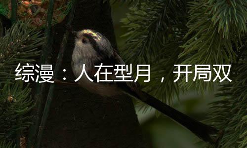 綜漫：人在型月，開局雙穿木葉