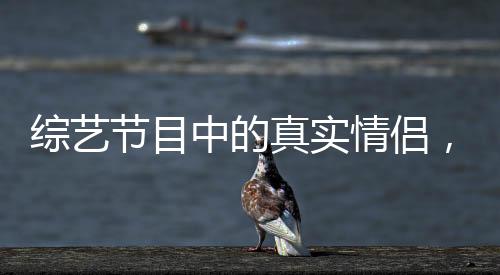 綜藝節(jié)目中的真實情侶，公費戀愛的綻放