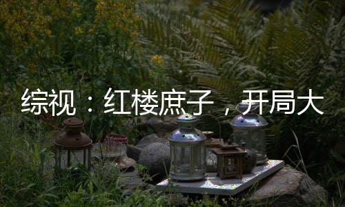 綜視：紅樓庶子，開(kāi)局大雪龍騎