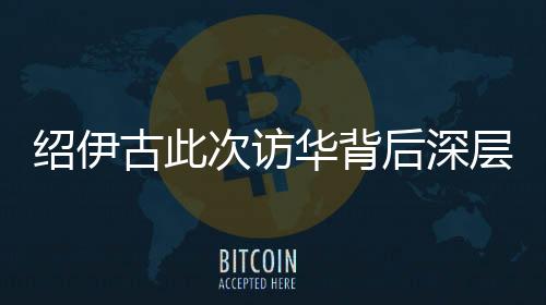 紹伊古此次訪華背后深層次分析，中俄合作新動(dòng)向