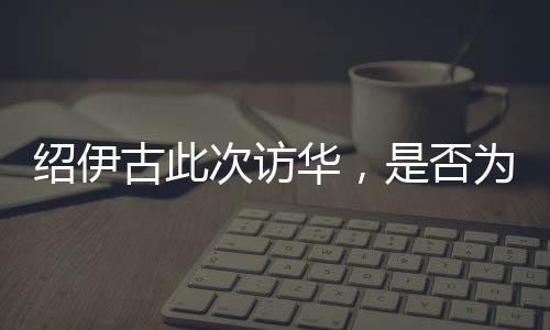 紹伊古此次訪華，是否為普京打前站？