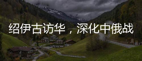 紹伊古訪華，深化中俄戰(zhàn)略合作的嶄新篇章