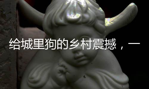 給城里狗的鄉(xiāng)村震撼，一場別開生面的自然探索之旅