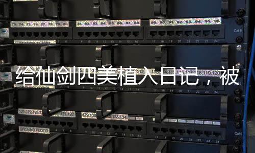 給仙劍四美植入日記，被玩壞了