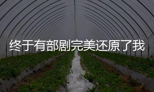 終于有部劇完美還原了我的高清童年