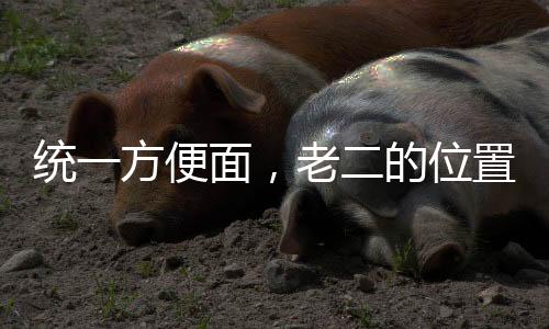 統(tǒng)一方便面，老二的位置岌岌可危
