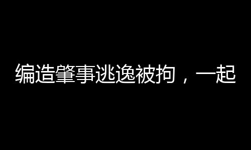 編造肇事逃逸被拘，一起揭示案件的始末與教訓(xùn)（共十段）