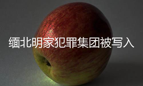 緬北明家犯罪集團被寫入最高檢報告，揭示犯罪勢力新動態(tài)及嚴厲打擊決心