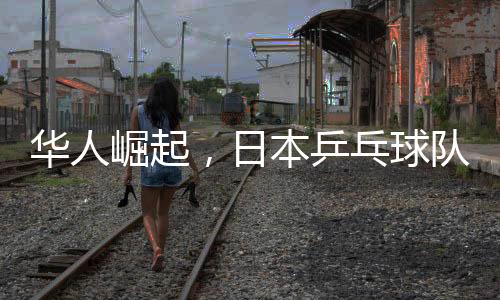 華人崛起，日本乒乓球隊(duì)新任女隊(duì)主教練揭曉，46歲華人肩負(fù)重任