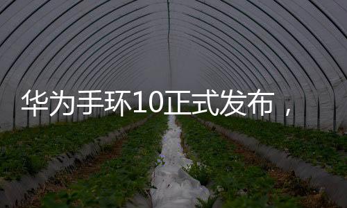 華為手環(huán)10正式發(fā)布，引領(lǐng)智能穿戴設(shè)備新潮流