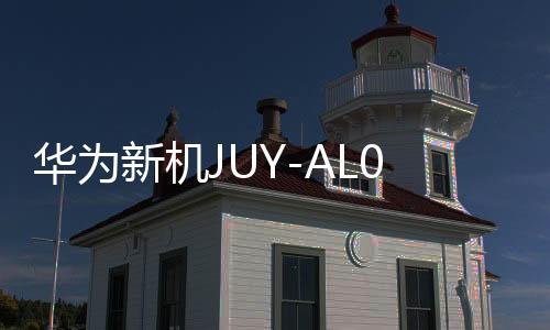 華為新機(jī)JUY-AL00全面解析，從概念到實(shí)際應(yīng)用的一二三四