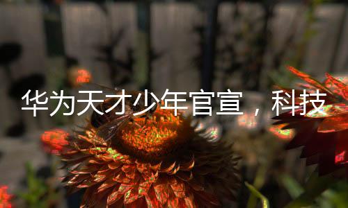 華為天才少年官宣，科技新星閃耀未來