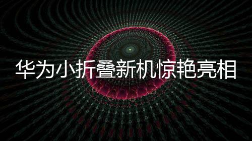 華為小折疊新機(jī)驚艷亮相，暫定三月推出，一睹科技與時(shí)尚的融合之美