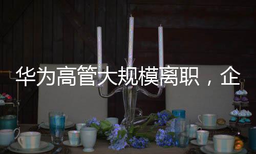 華為高管大規(guī)模離職，企業(yè)內(nèi)部調(diào)整引發(fā)關(guān)注