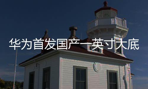 華為首發(fā)國產(chǎn)一英寸大底，引領(lǐng)智能手機攝影新篇章