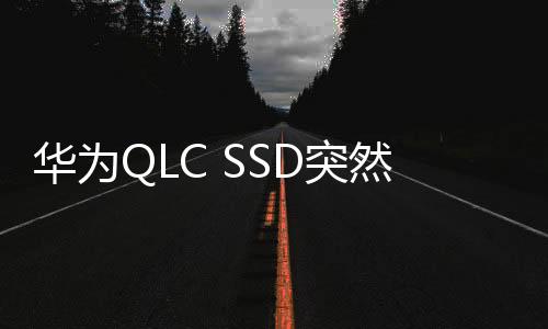 華為QLC SSD突然進(jìn)軍韓國(guó)：1TB 235元便宜到爆！