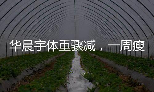 華晨宇體重驟減，一周瘦9斤引熱議，數(shù)字背后的故事與挑戰(zhàn)