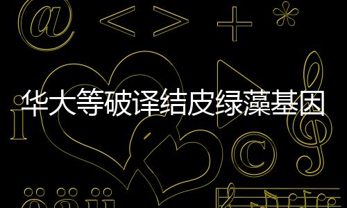 華大等破譯結(jié)皮綠藻基因密碼 為沙漠改造提供科學(xué)支撐
