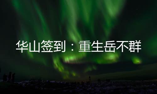 華山簽到：重生岳不群