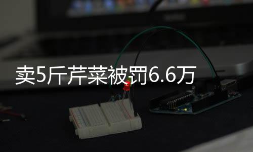 賣5斤芹菜被罰6.6萬？代表委員建言市場監(jiān)管新模式