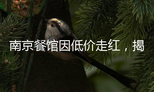 南京餐館因低價(jià)走紅，揭秘城市中的親民美食天堂