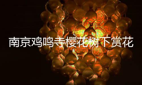 南京雞鳴寺櫻花樹下賞花人多如云，游客紛紛駐足留影