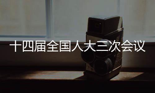 十四屆全國人大三次會議閉幕會的重點分析與解讀