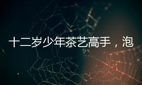 十二歲少年茶藝高手，泡功夫茶展現(xiàn)行云流水之美
