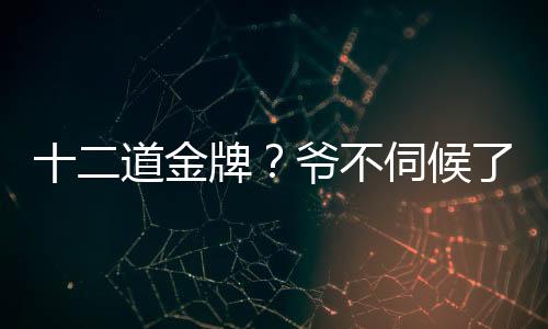 十二道金牌？爺不伺候了！