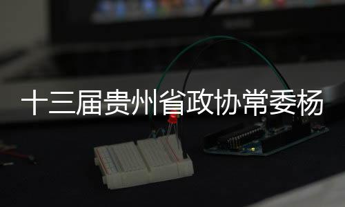 十三屆貴州省政協(xié)常委楊柱接受審查調(diào)查