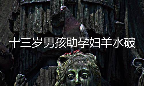 十三歲男孩助孕婦羊水破裂順利產(chǎn)子，生命奇跡溫暖人心
