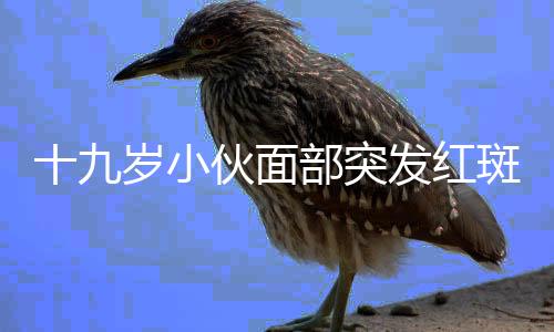 十九歲小伙面部突發(fā)紅斑狼瘡，醫(yī)生揭示背后真相