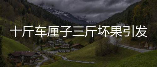 十斤車?yán)遄尤飰墓l(fā)爭(zhēng)議，山姆超市回應(yīng)質(zhì)量問題