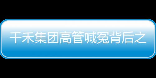 千禾集團(tuán)高管喊冤背后之深度剖析