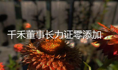 千禾董事長(zhǎng)力證零添加，高管喊冤背后的真相揭秘
