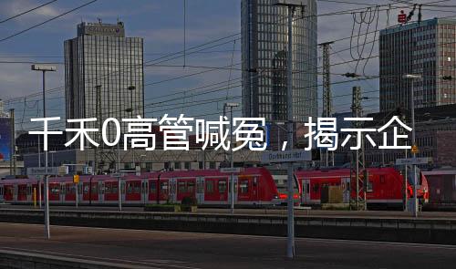 千禾0高管喊冤，揭示企業(yè)背后的真相
