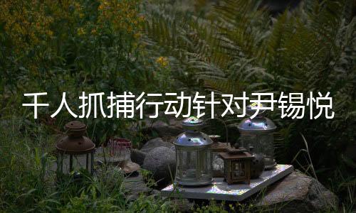 千人抓捕行動針對尹錫悅，現(xiàn)場沖突與受傷情況