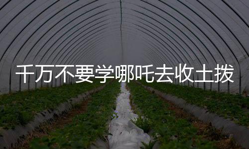 千萬(wàn)不要學(xué)哪吒去收土撥鼠，一則關(guān)于冒險(xiǎn)與后果的警示