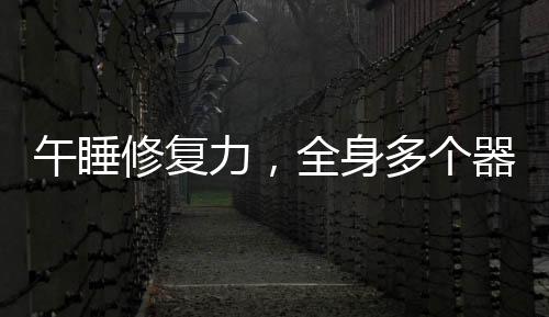 午睡修復(fù)力，全身多個(gè)器官在短暫的睡眠中得到恢復(fù)與再生