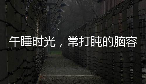 午睡時光，常打盹的腦容量真相大解密