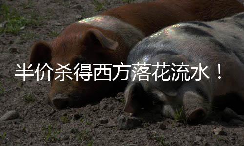 半價(jià)殺得西方落花流水！國產(chǎn)DDR4內(nèi)存又要漲回來