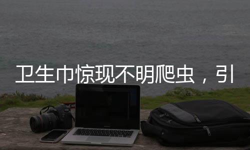 衛(wèi)生巾驚現(xiàn)不明爬蟲，引發(fā)消費者關(guān)注與擔憂