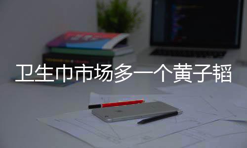 衛(wèi)生巾市場(chǎng)多一個(gè)黃子韜也無(wú)妨，市場(chǎng)多樣性與新競(jìng)爭(zhēng)格局分析