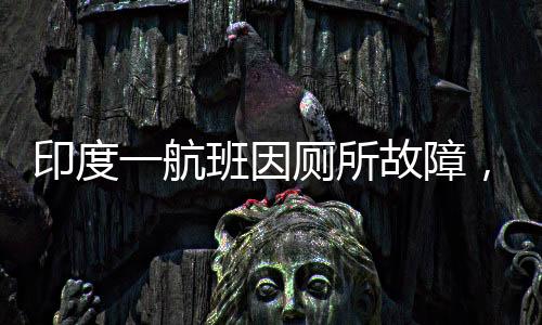 印度一航班因廁所故障，僅留一個可用卻遭遇11個堵塞被迫返航
