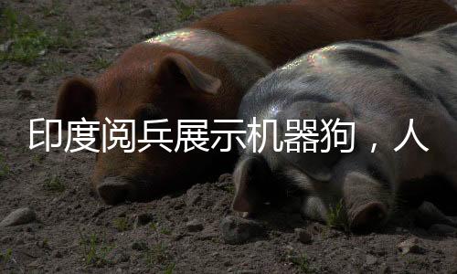 印度閱兵展示機(jī)器狗，人手一個遙控器引領(lǐng)科技潮流